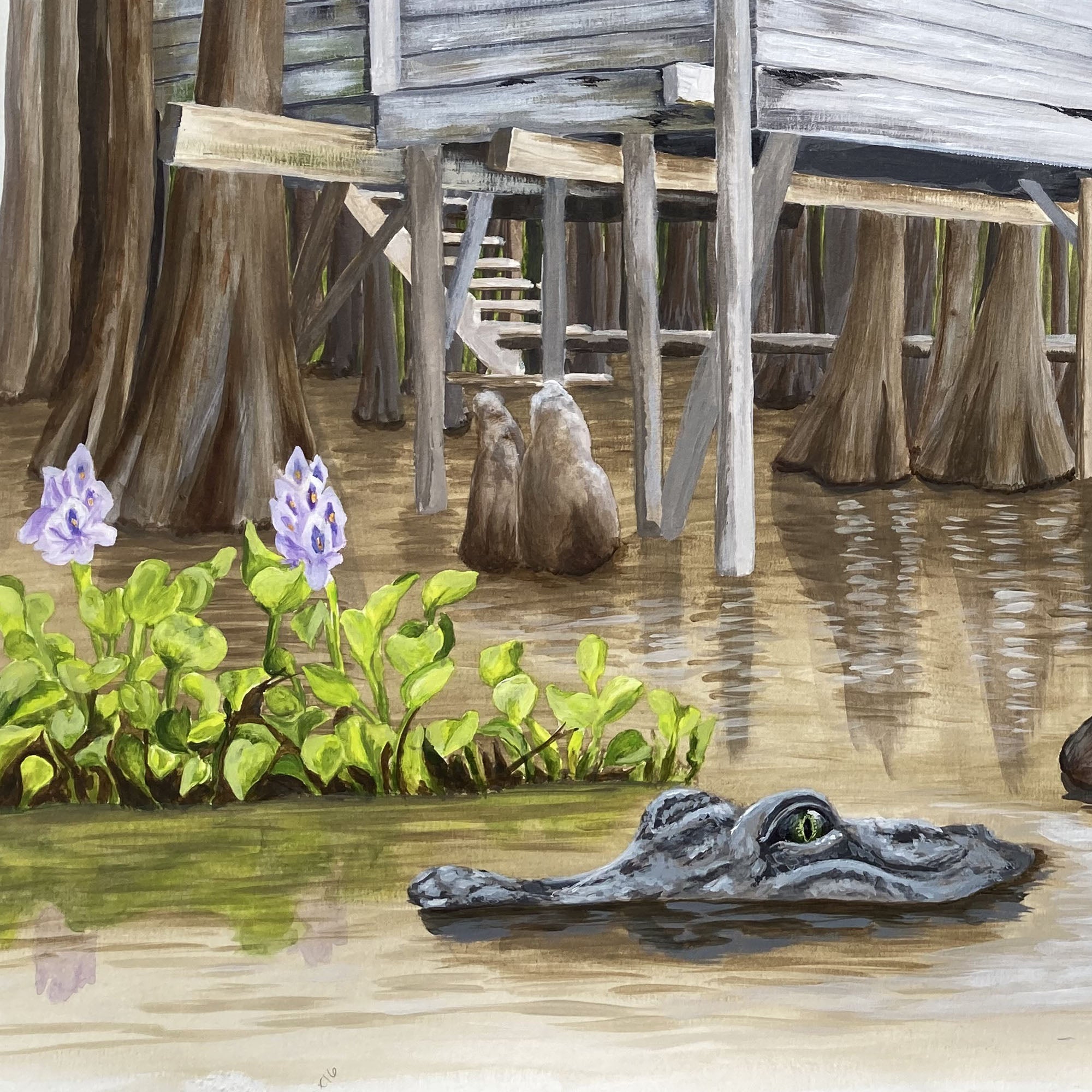【中古】 BEAUTIFUL SWAMP AH KOSMOS Camp in Southern Wetlands, Alligator in the Swamp, Southern