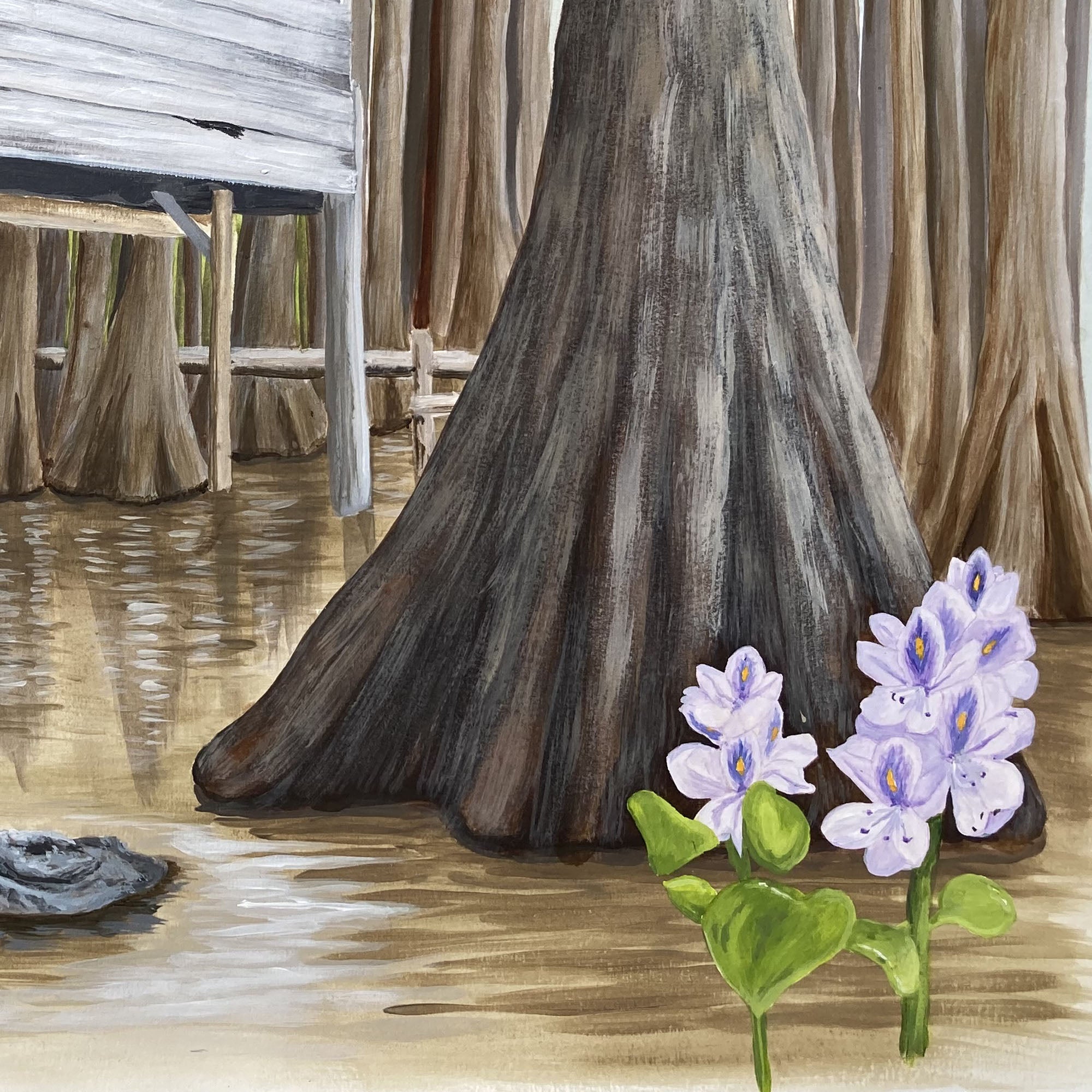 Camp in Southern Wetlands, Alligator in the Swamp, Southern